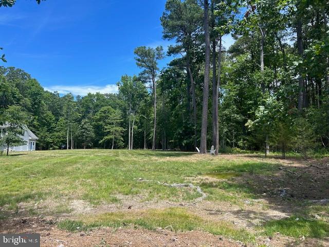 7510 Quaker Neck Road Bozman, MD 21612 - Photo 27 of 31 Gallery Image 27