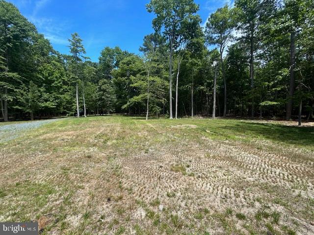 7510 Quaker Neck Road Bozman, MD 21612 - Photo 28 of 31 Gallery Image 28