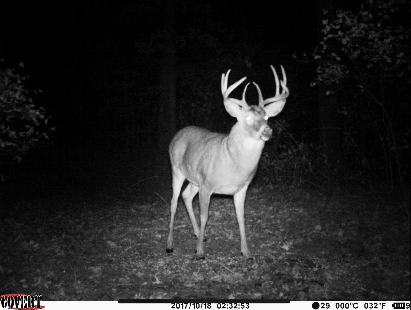 50540 Snow Lake Road Vining, MN 56588 - Photo 87 of 89 Gallery Image 87