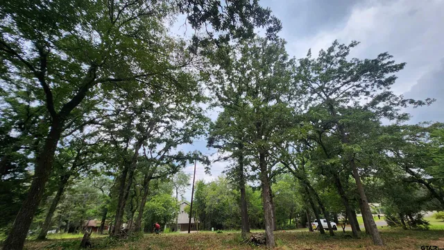a fire hydrant in the middle of a field
