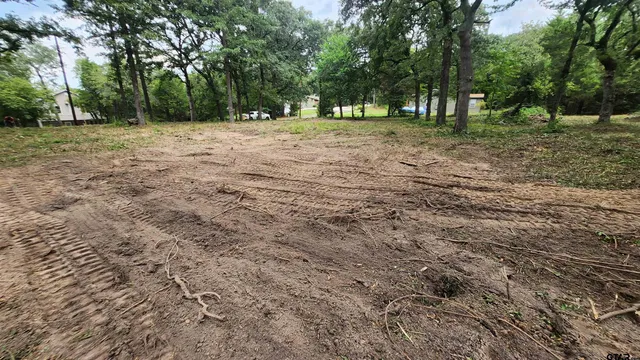 a view of a yard with a trees