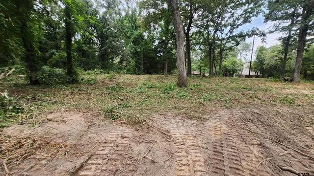 a view of a tree with a trees in the background