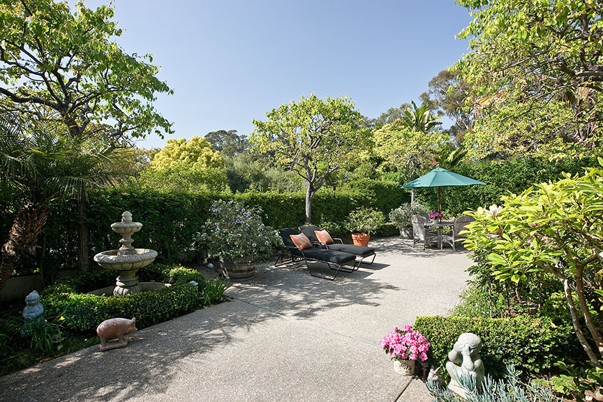 a view of a backyard with plants and a garden