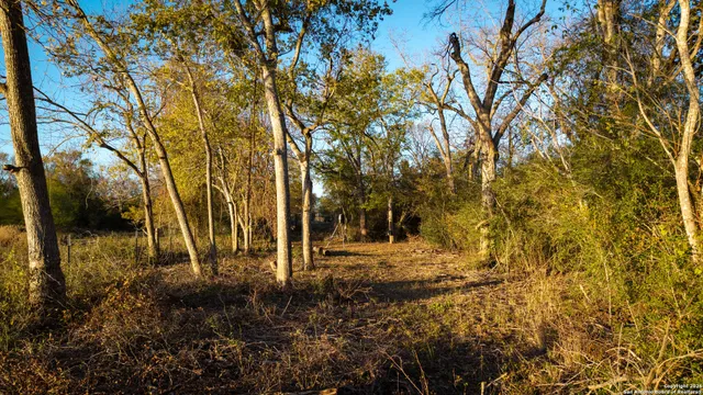 a view of backyard with green space