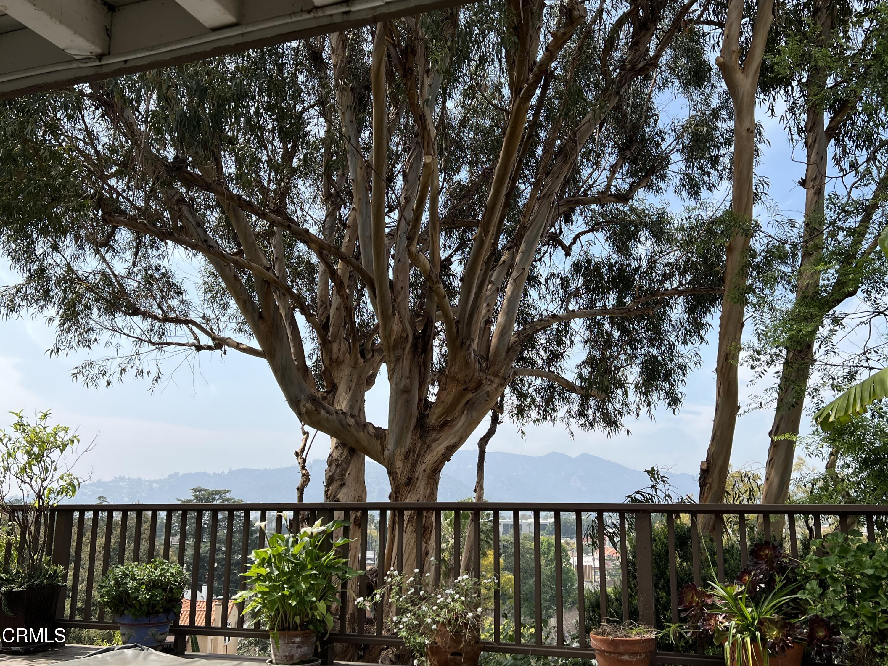 735 Prospect Drive Glendale, CA 91205 - Photo 37 of 49