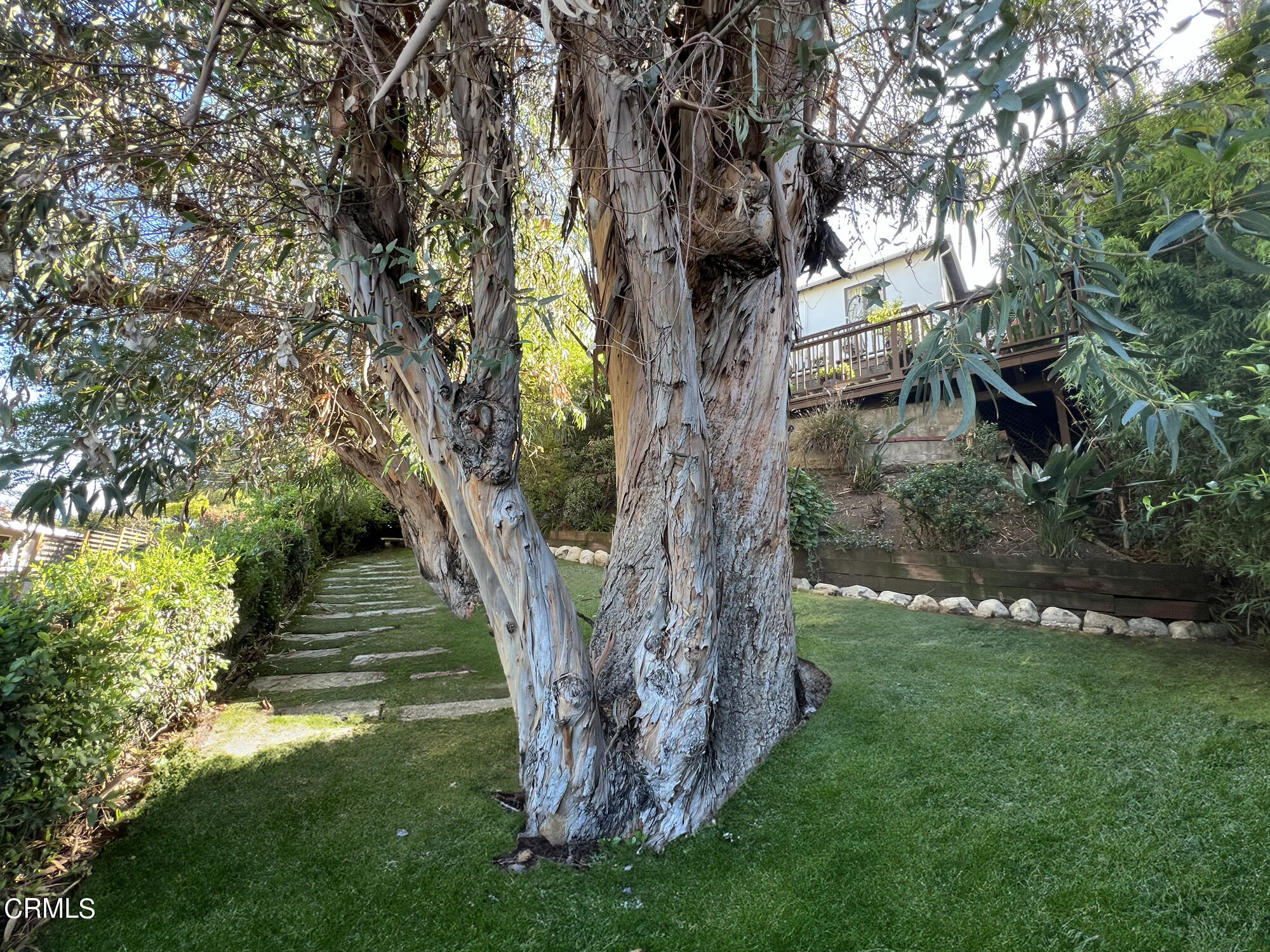 735 Prospect Drive Glendale, CA 91205 - Photo 40 of 49 a view of a garden with a tree