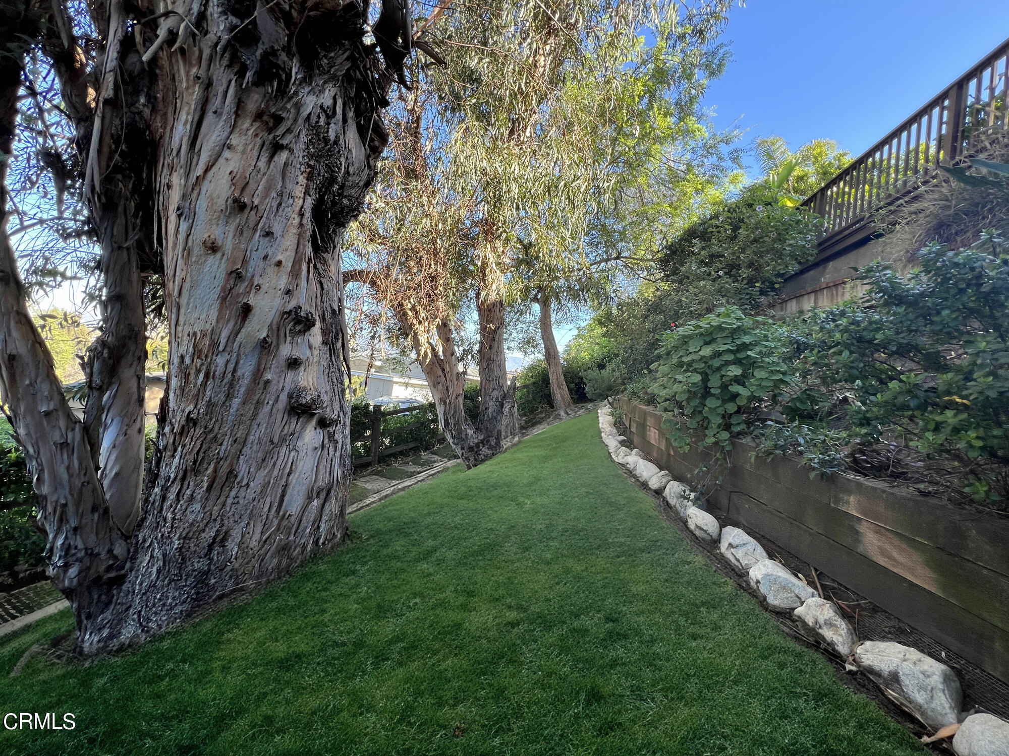 735 Prospect Drive Glendale, CA 91205 - Photo 41 of 49 a view of a yard with an trees