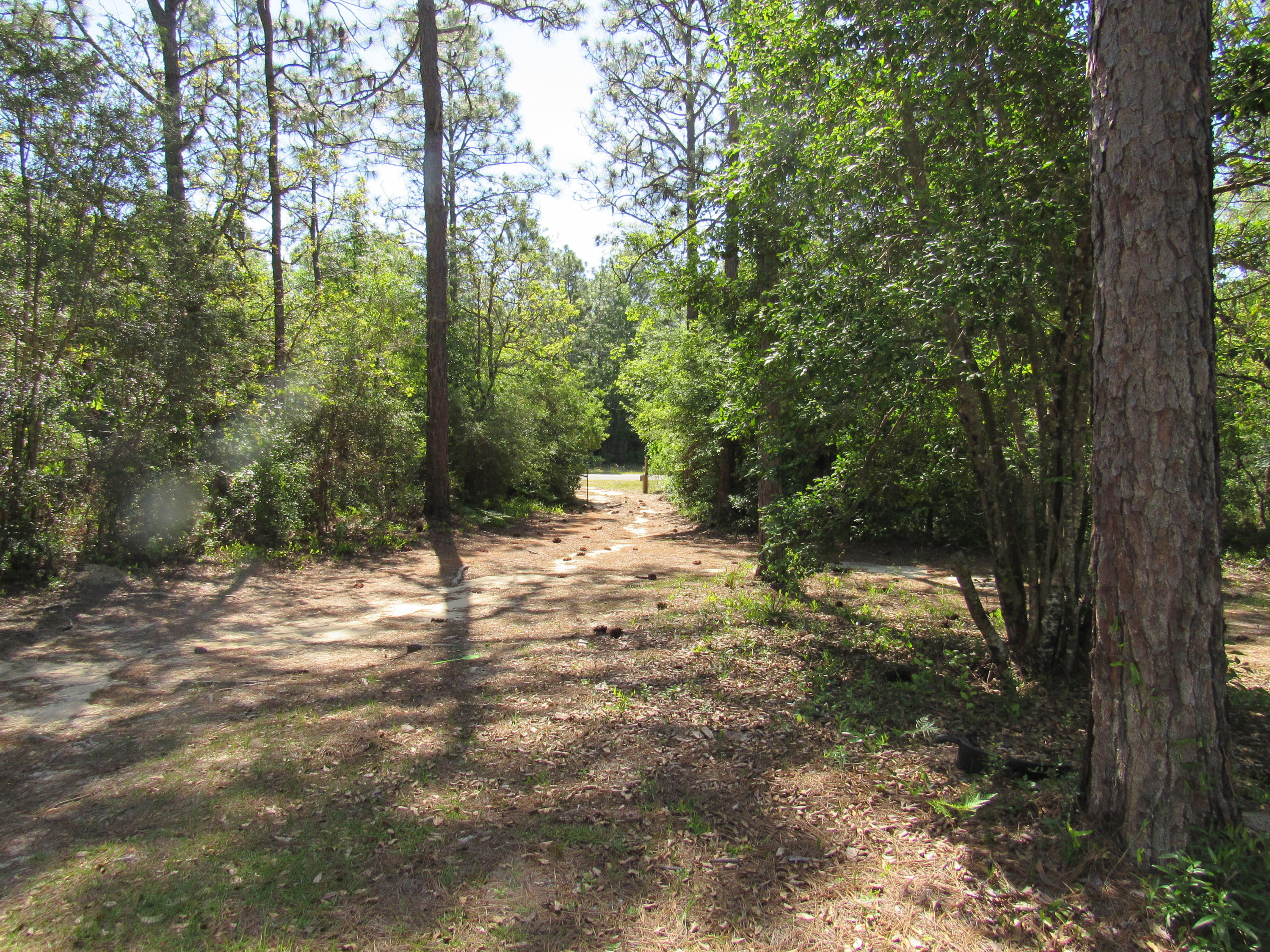 4641 Wilkerson Bluff Road Holt, FL 32564 - Photo 7 of 30 Gallery Image 7