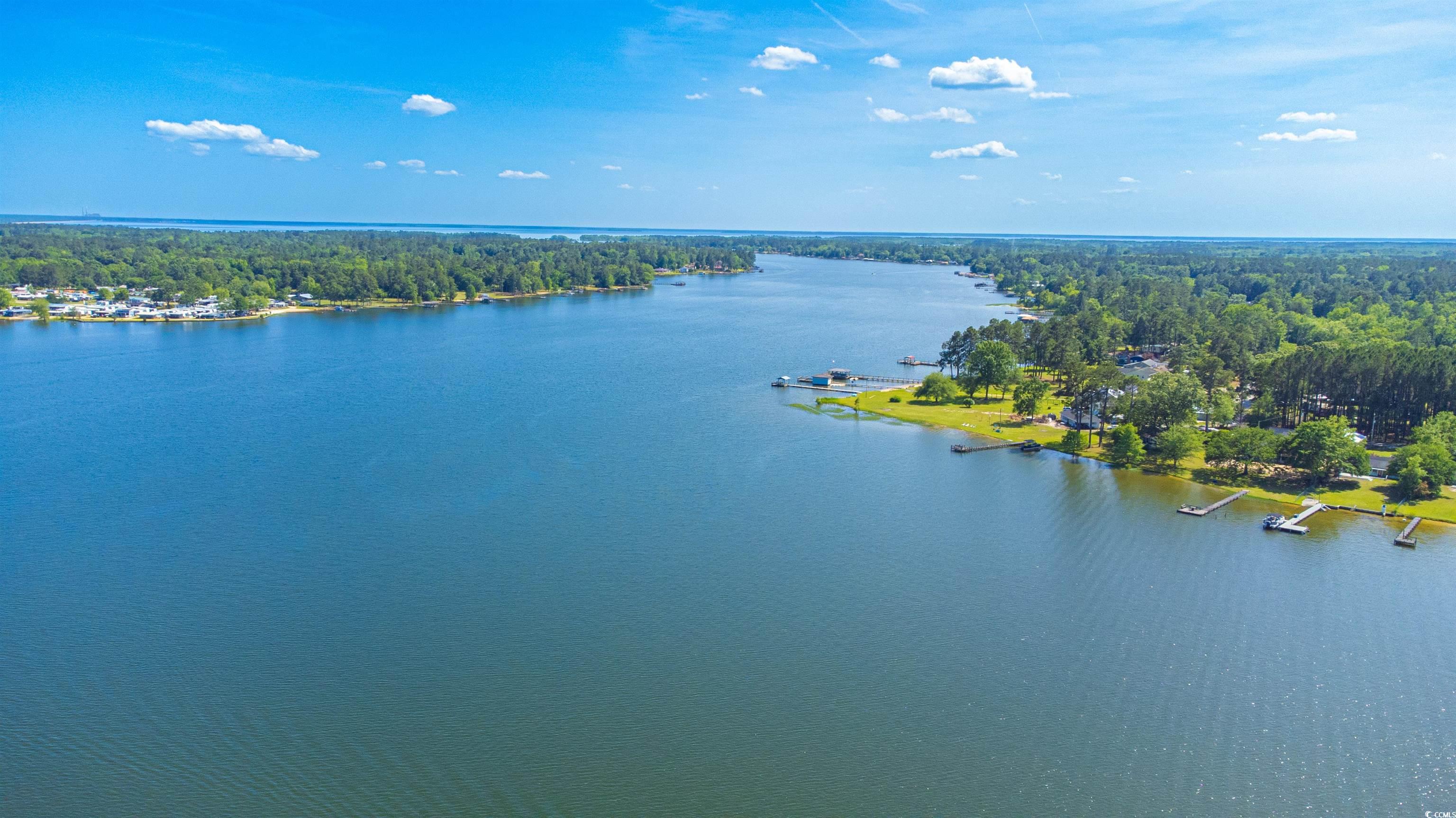 1030 Levi Street Manning, SC 29102 - Photo 29 of 31 Drone / aerial view of a large body of water
