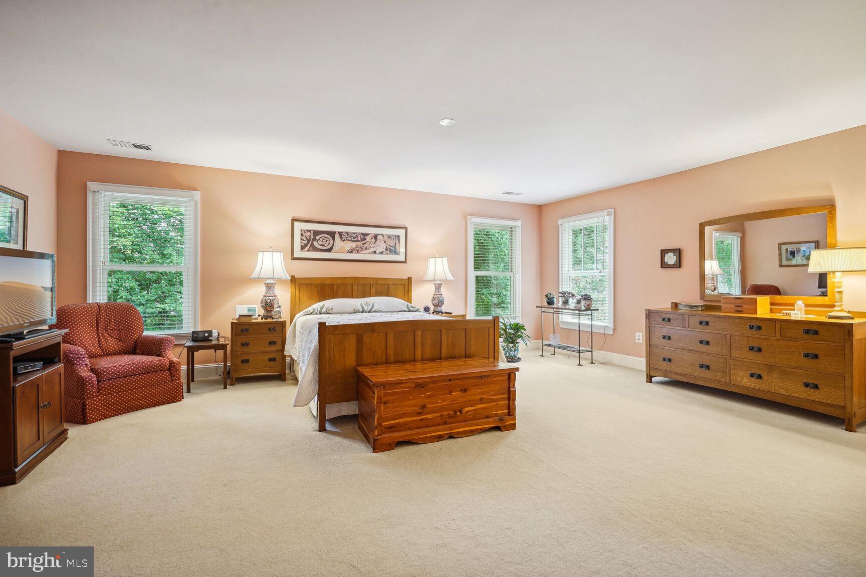 217 Tapawingo Road Southeast Vienna, VA 22180 - Photo 24 of 50 Spacious primary suite