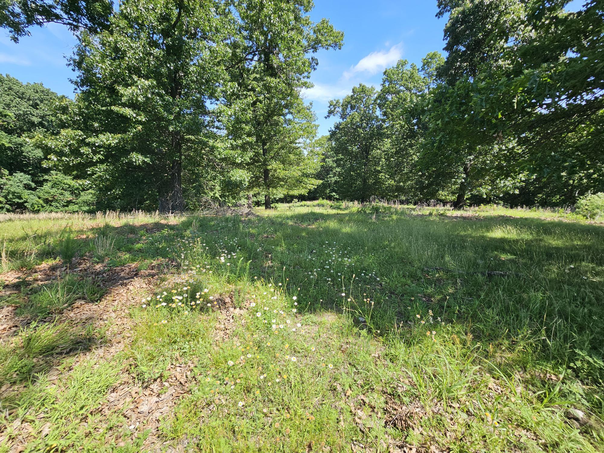 5383 Cowan Ridge Road Powell, MO 65730 - Photo 6 of 32 cowin ridge pic land 1-3