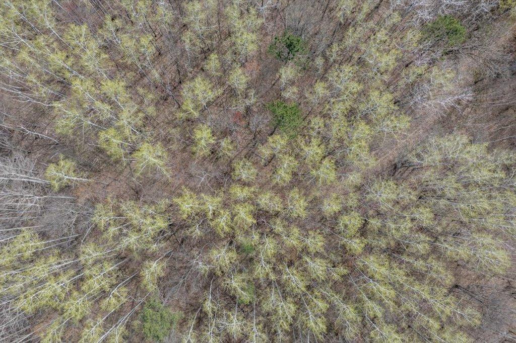 9382 County Road 8 Brainerd, MN 56401 - Photo 60 of 108