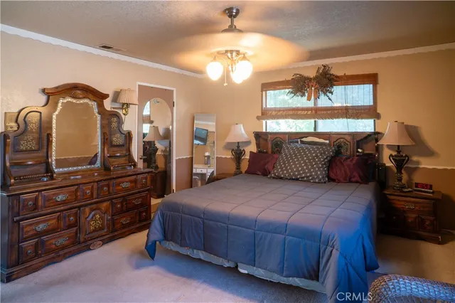 a living room with furniture a large window and potted plants