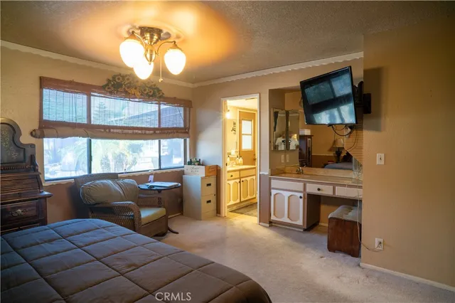 a view of a two chair in the patio with potted plants