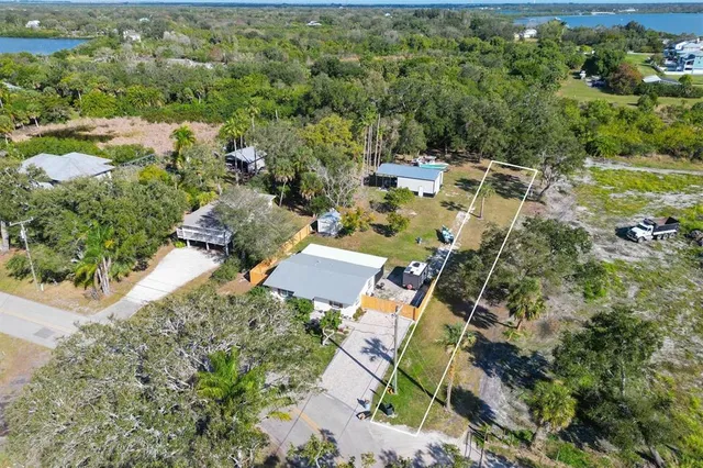 a view of a yard with palm tree