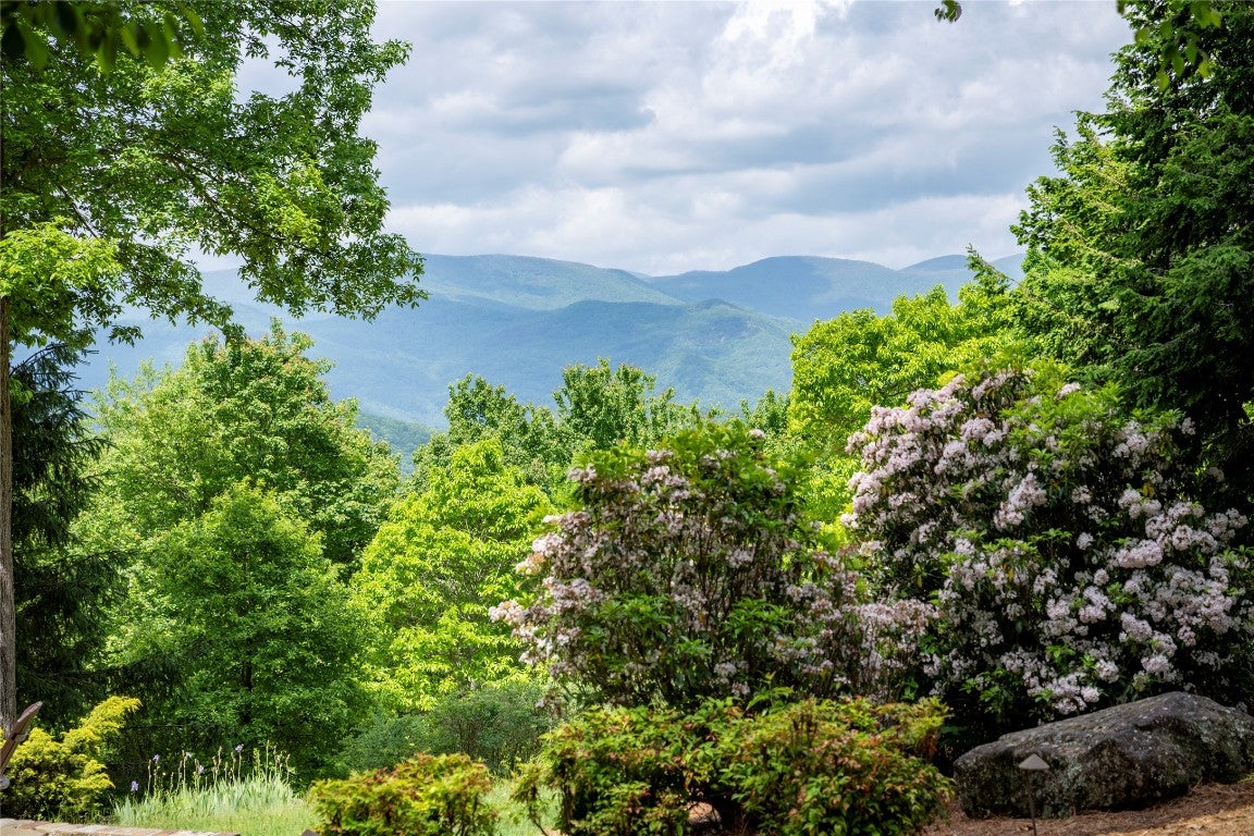 550 Silly Ridge Road Scaly Mountain, NC 28775 - Photo 88 of 100 Gallery Image 88