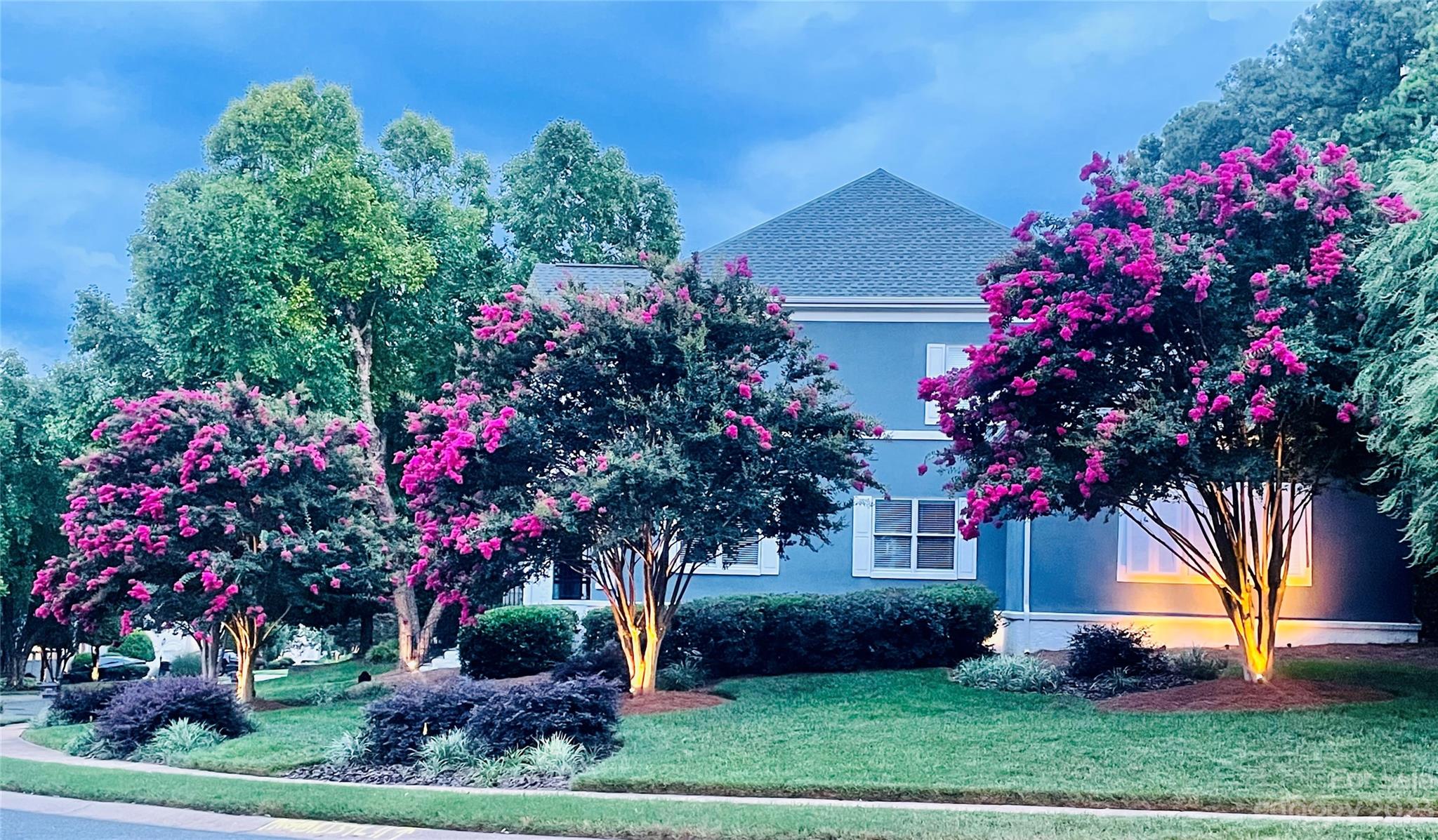 17506 Springwinds Drive Cornelius, NC 28031 - Photo 32 of 35 a front view of a house with a yard and a large tree