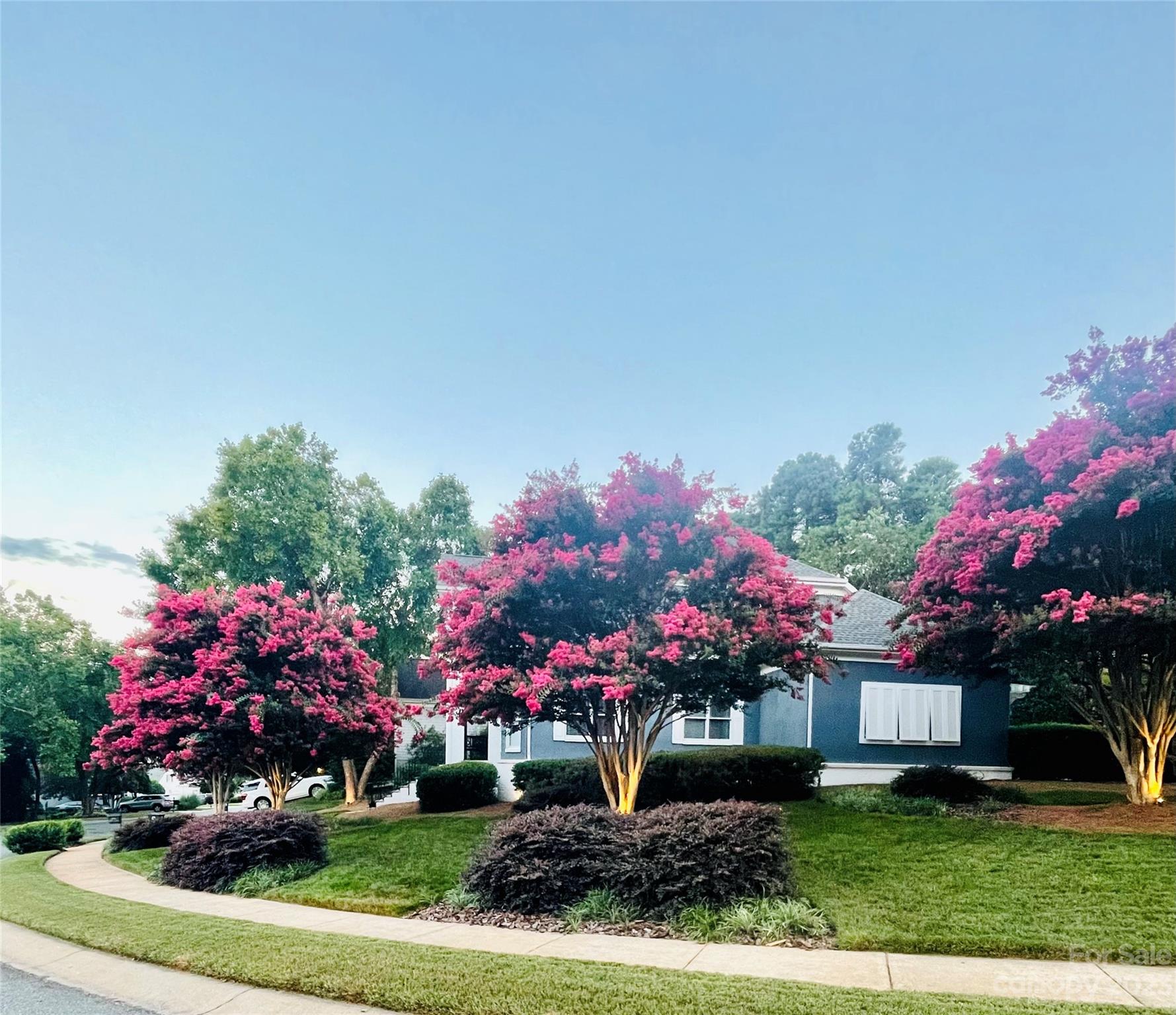 17506 Springwinds Drive Cornelius, NC 28031 - Photo 33 of 35 a front view of a house with a yard and a large tree