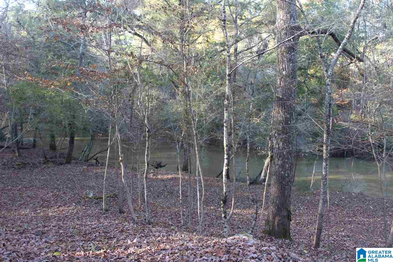 72 Bluegrass Lane Jasper, AL 35503 - Photo 10 of 23
