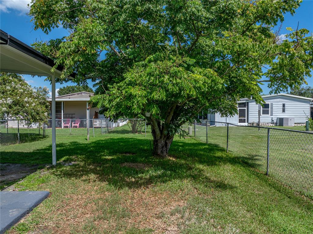 1610 Reynolds Road, Unit 35 Lakeland, FL 33801 - Photo 48 of 59 a view of a house with backyard and a tree