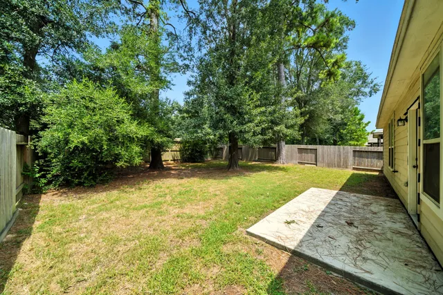 a view of a backyard with a large tree