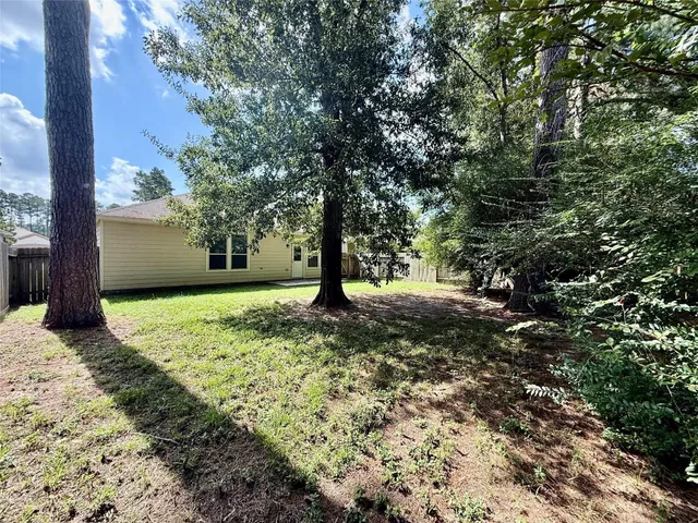 a view of a yard with plants and trees