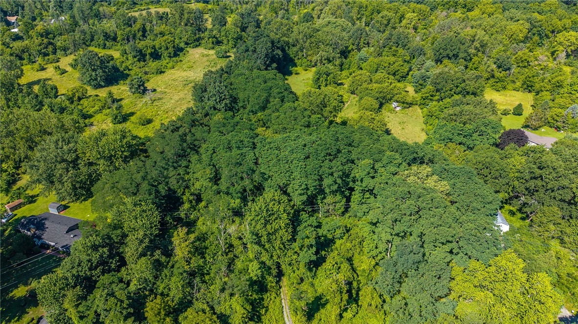 7001 East River Road Rush, NY 14543 - Photo 2 of 14 Gallery Image 2