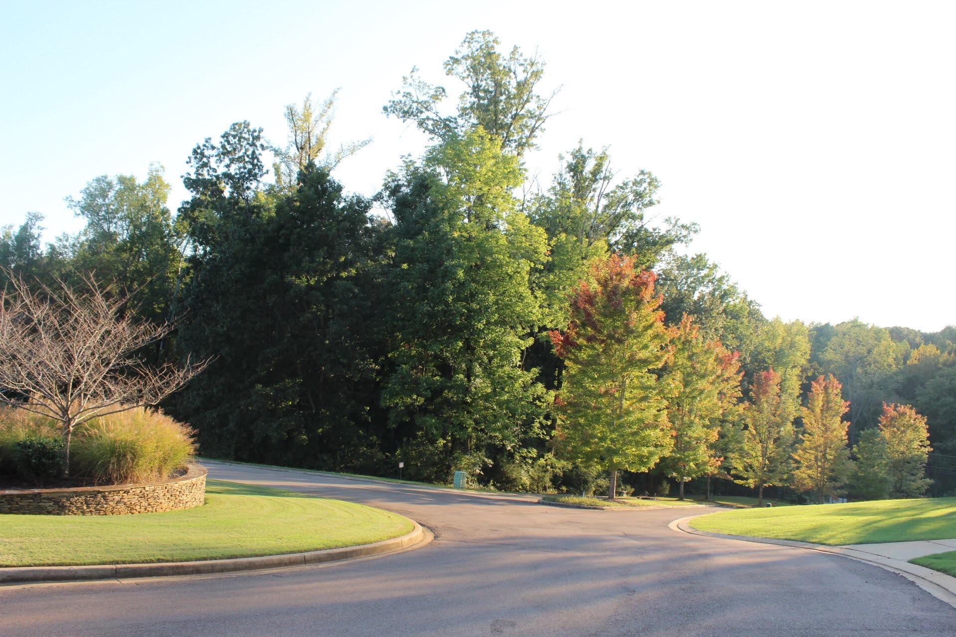 Lot 28 Chateau Rounds New Albany, MS 38652 - Photo 11 of 11 Gallery Image 11