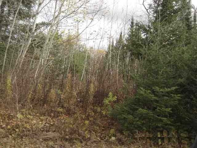 Tbd Tbd Cth Ff Mercer, WI 54547 - Photo 3 of 11 Gallery Image 3