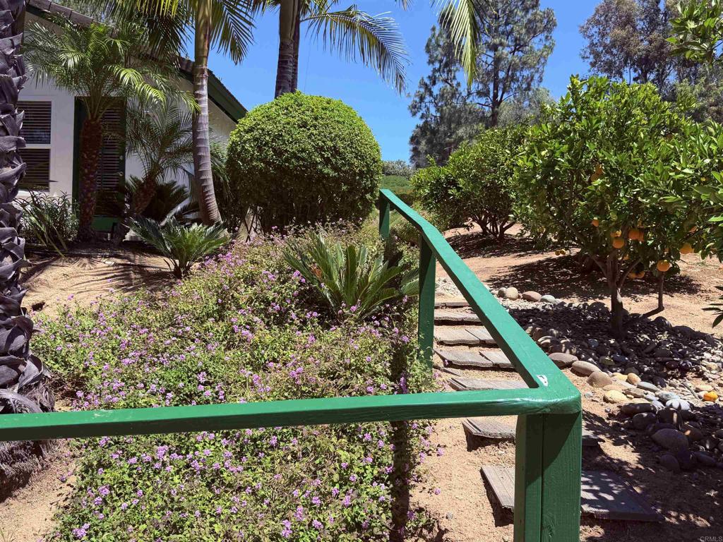 524 Rosvall Drive Fallbrook, CA 92028 - Photo 22 of 77