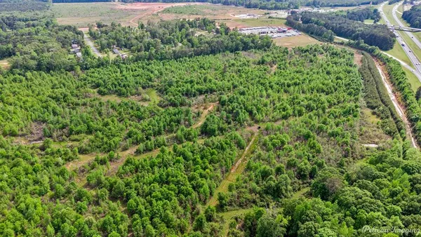 a view of a lush green forest with a street