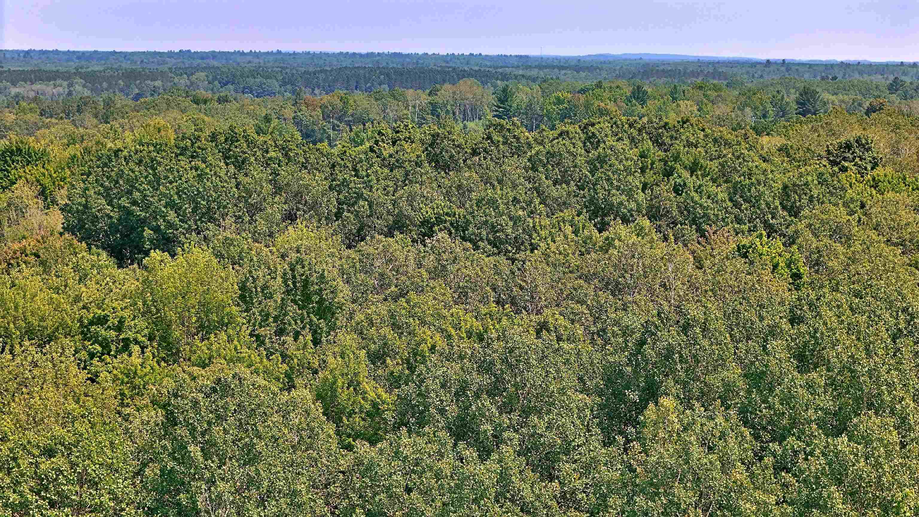 V/l North No 31 Road Manton, MI 49663 - Photo 4 of 14