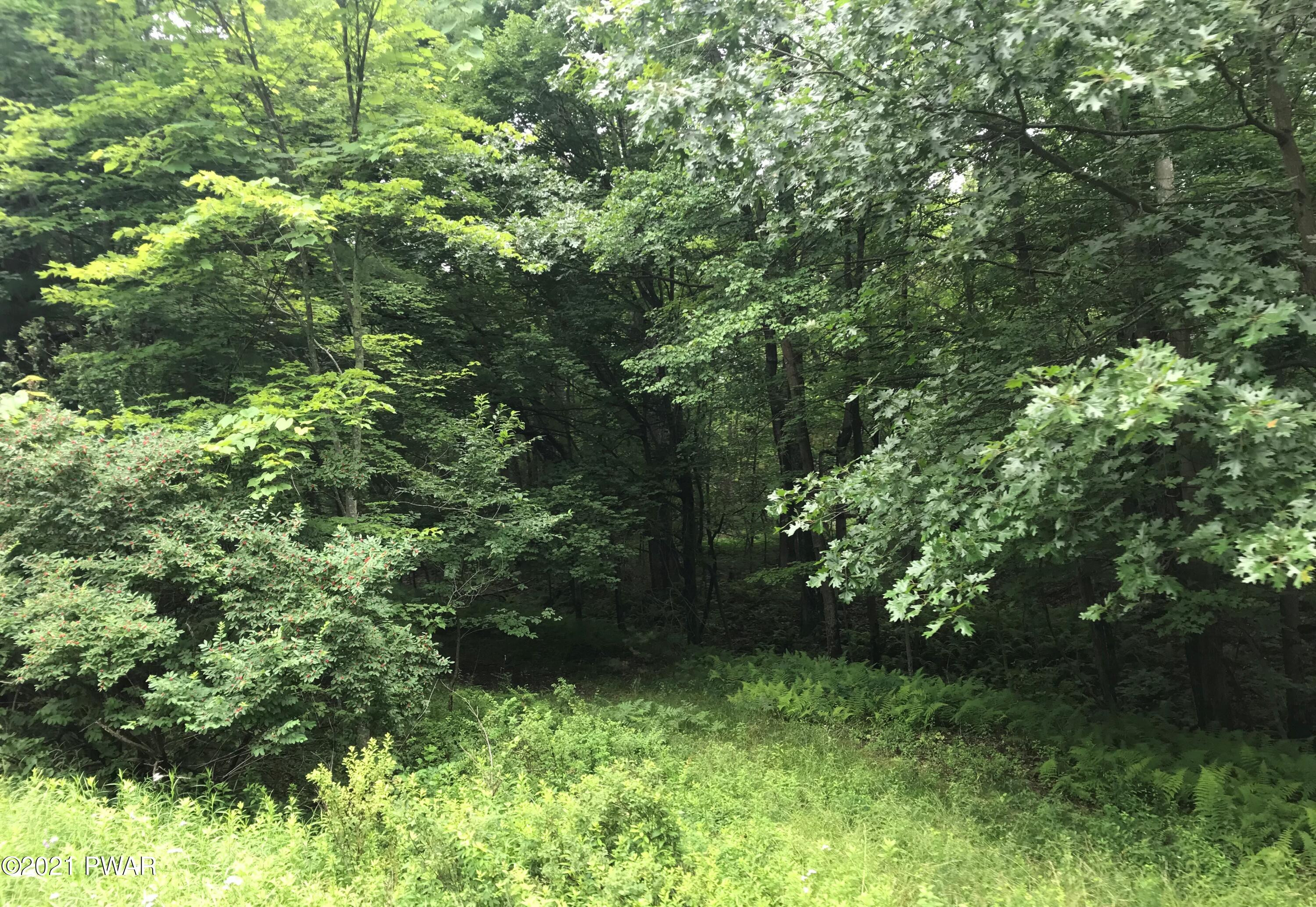 112 Swamp Brook Path Hawley, PA 18428 - Photo 4 of 13