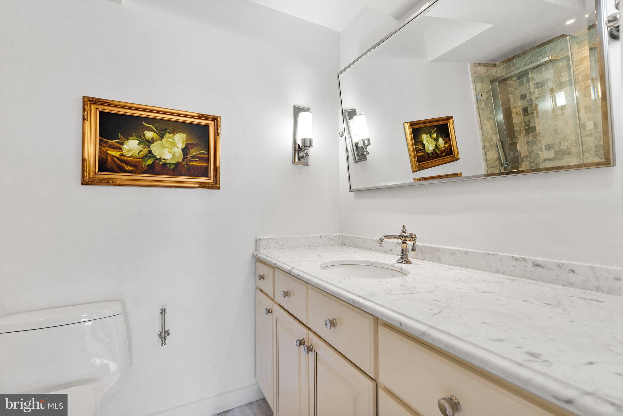 2500 Virginia Avenue Northwest, Unit 1005S Washington, DC 20037 - Photo 18 of 42 a bathroom with a granite countertop sink a mirror and a picture on the wall