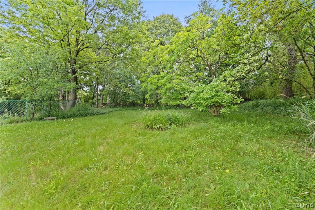 141 Edgehill Road Syracuse, NY 13224 - Photo 41 of 50