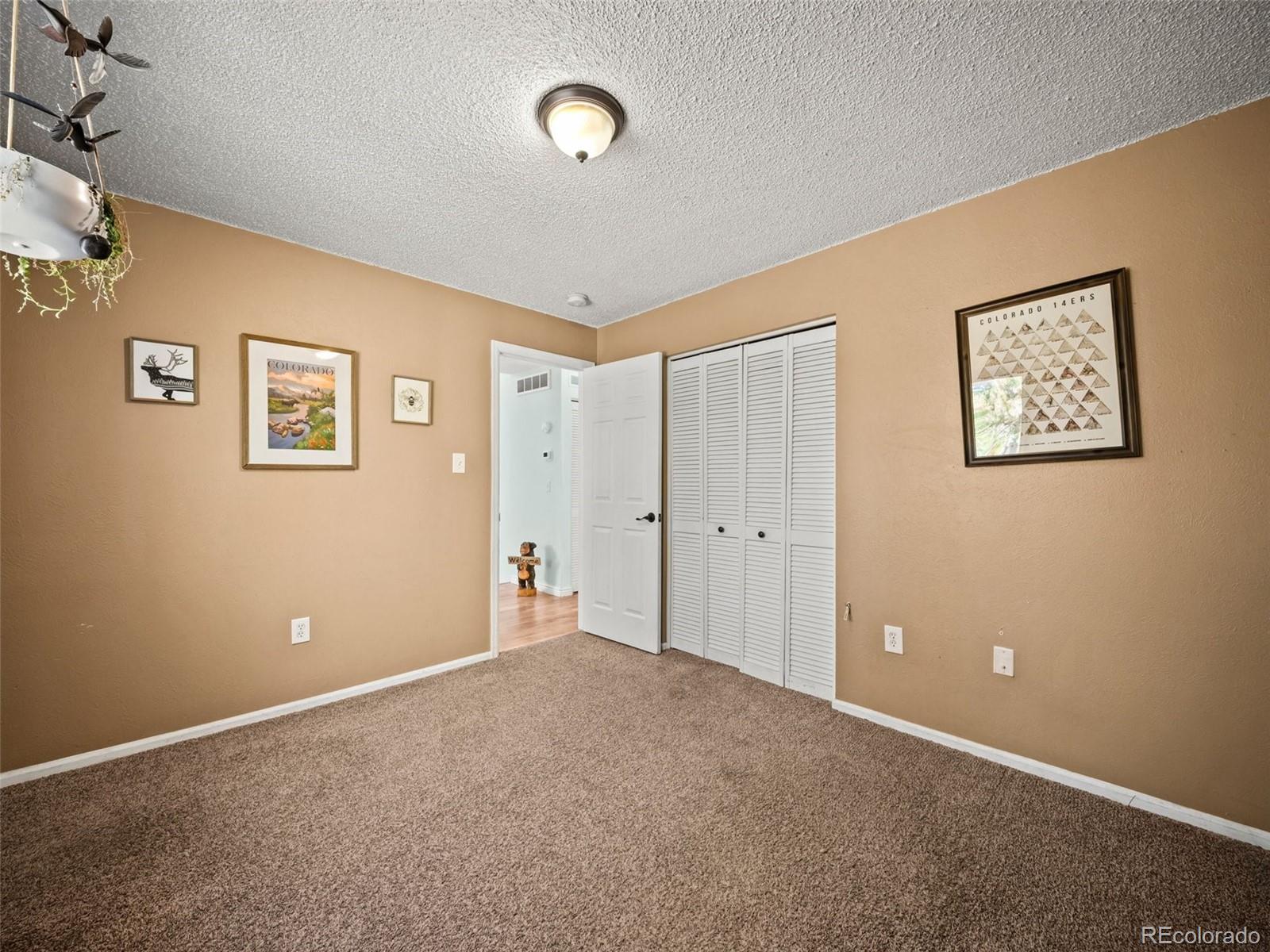 196 Beaver Trail Bailey, CO 80421 - Photo 34 of 50 Gallery Image 34