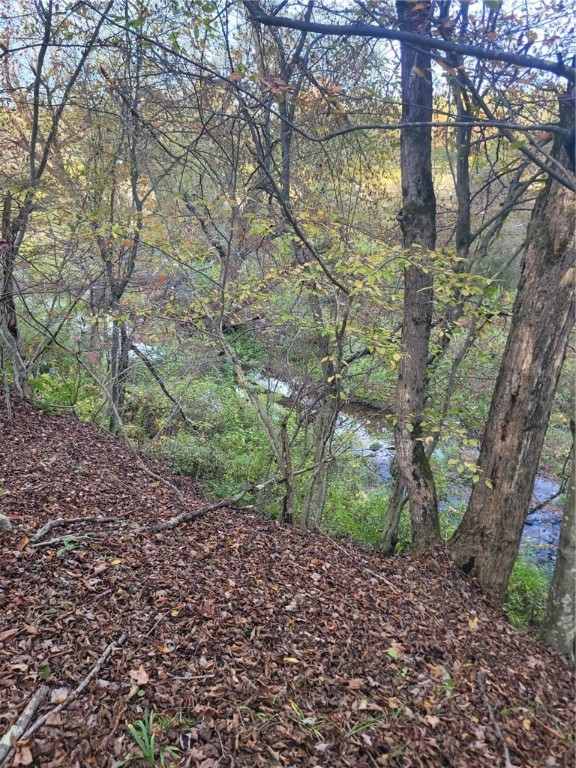 Wylie Road Harpursville, NY 13787 - Photo 11 of 16