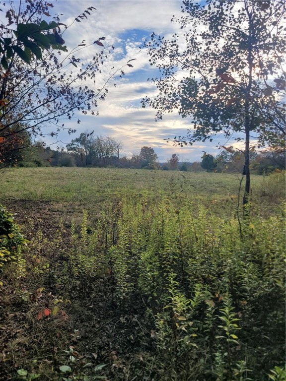 Wylie Road Harpursville, NY 13787 - Photo 12 of 16