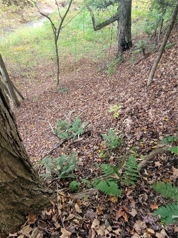 Wylie Road Harpursville, NY 13787 - Photo 15 of 16