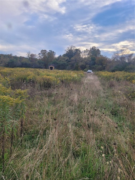 Wylie Road Harpursville, NY 13787 - Photo 16 of 16