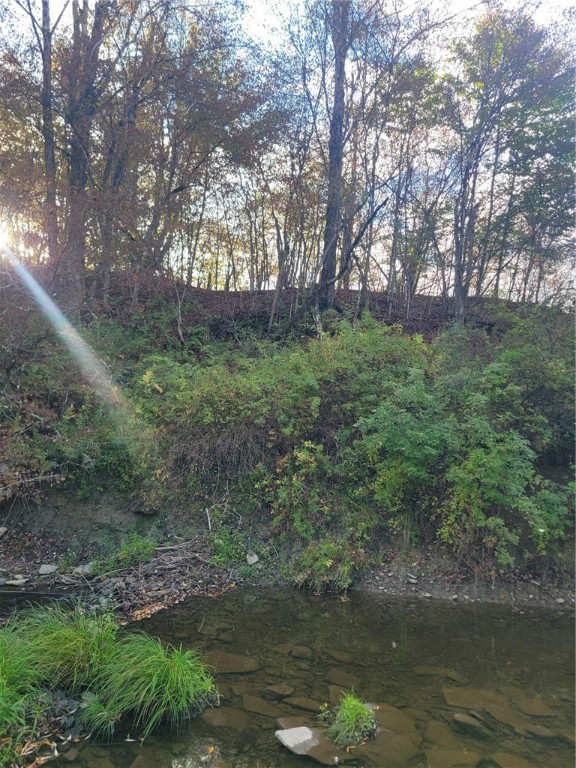 Wylie Road Harpursville, NY 13787 - Photo 10 of 16