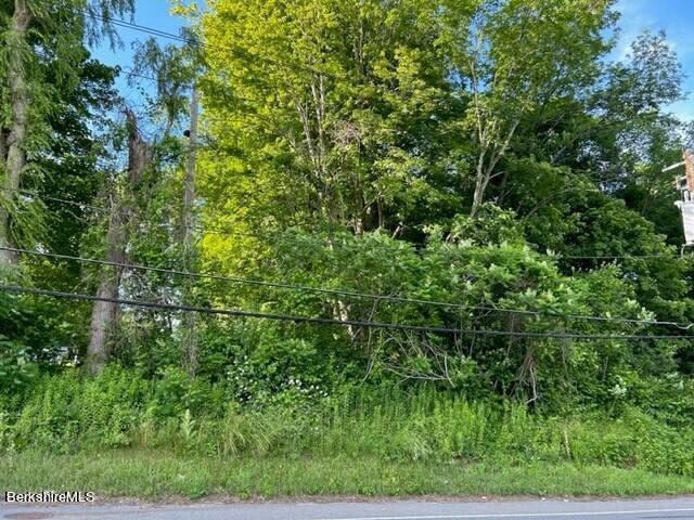 32 State Line Road Housatonic, MA 01236 - Photo 2 of 4 a view of a yard