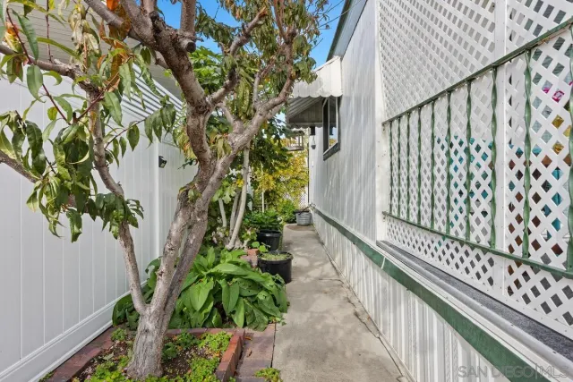 a room with furniture and a potted plant