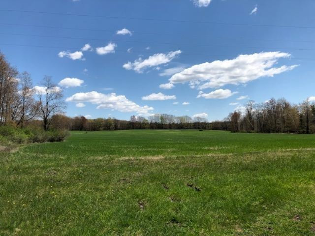 4494 6 Mile Road Remus, MI 49340 - Photo 2 of 8 Farmland