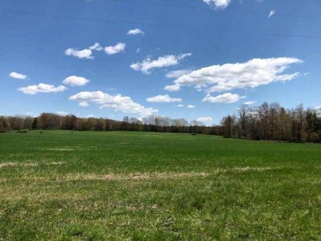 4494 6 Mile Road Remus, MI 49340 - Photo 3 of 8 Farmland