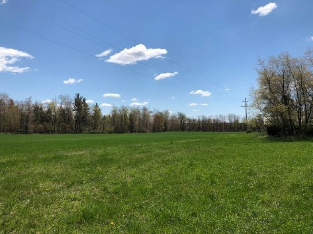 4494 6 Mile Road Remus, MI 49340 - Photo 4 of 8 Farmland