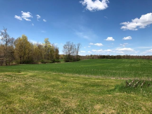 4494 6 Mile Road Remus, MI 49340 - Photo 6 of 8 Field 5
