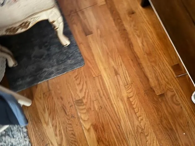 $1,200,000 | 2563 Gumdrop Drive, San Jose, CA 95148