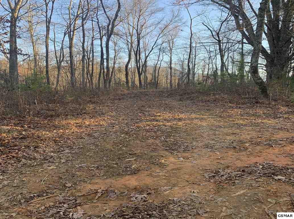 314 Hickey Road Sevierville, TN 37876 - Photo 26 of 36