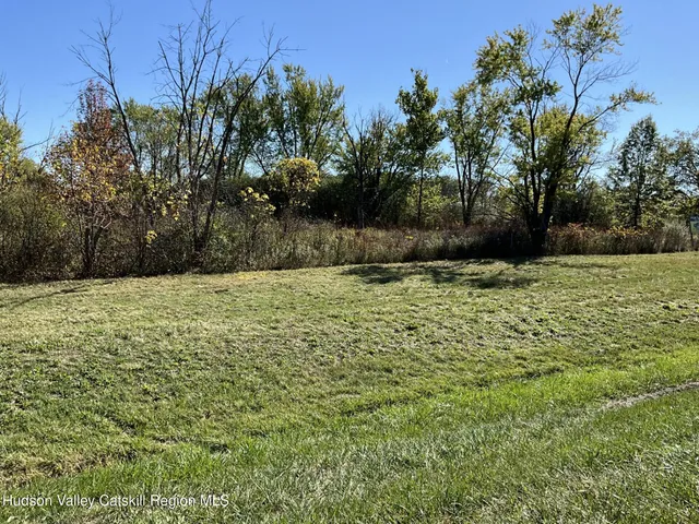a view of a green yard